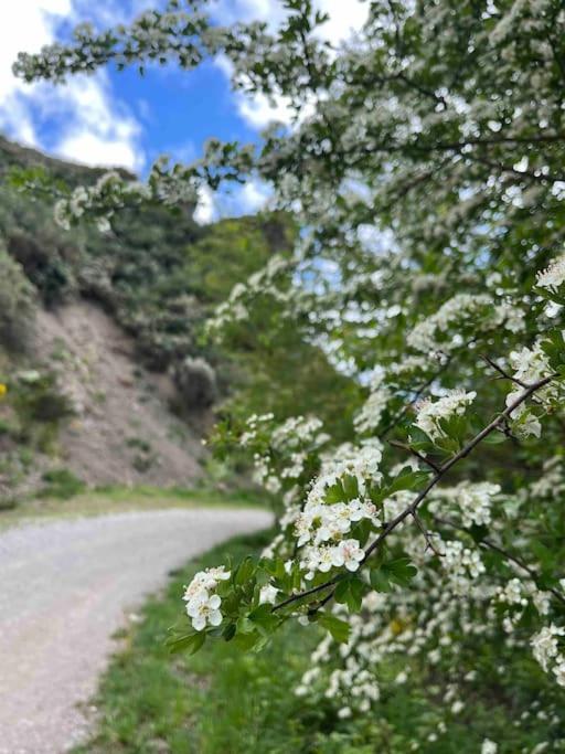 Vila El Hoyaco Los Espejos de la Reina Exteriér fotografie